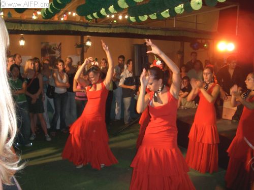 Flamenco