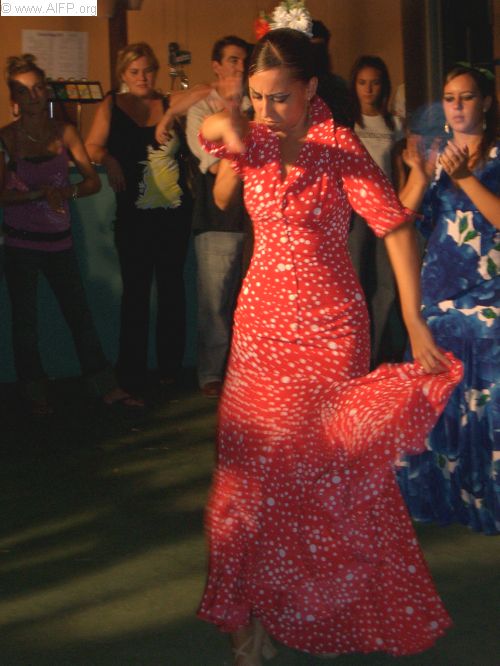 Flamenco danseres