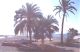 beach1