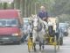 horsecoach2