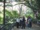 jardinbotanico2