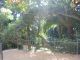 jardinbotanico15