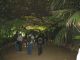 jardinbotanico16
