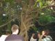 jardinbotanico17