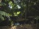 jardinbotanico19