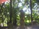 jardinbotanico22