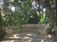 jardinbotanico23
