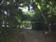 jardinbotanico7