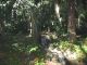 jardinbotanico8