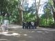 jardinbotanico9