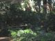jardinbotanico10