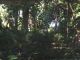 jardinbotanico11
