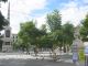 Plaza de la Merced1